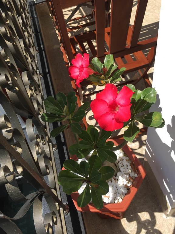 Iris De Villa Hoi An Pokoj fotografie
